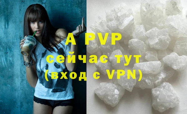 спайс Магадан