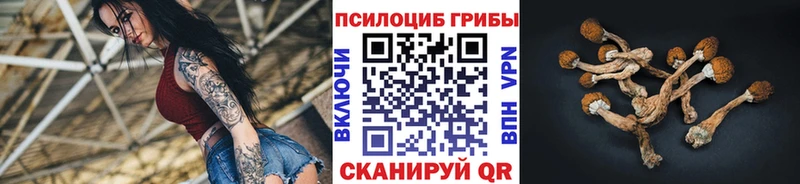 Псилоцибиновые грибы MAGIC MUSHROOMS  где купить наркотик  Усть-Катав 